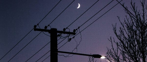 Dear, Future: I'm Writing Fiction Again