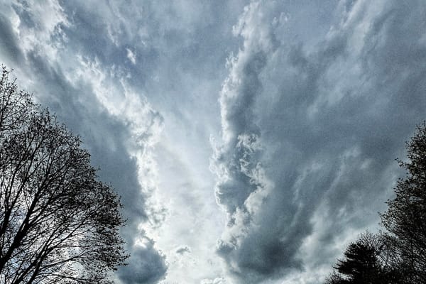 Dark and cloudy sky. Tree tops visible in periphery 